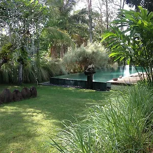 Naga , Ubud (Bali) Indonesia